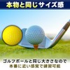 IKY Indoor Practice Golf Balls, Set of 12, Independent Training,