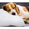 Utopia Bedding Waterproof Cushion Cover 50 x 80 cm (Set
