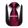 Barry.Wang Plaid Ties Mens Silk Necktie and Tie Clip Checkered