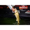 Berkley Flicker Shad Shallow Fishing Lure, Slick Purple Bengal, 2/7