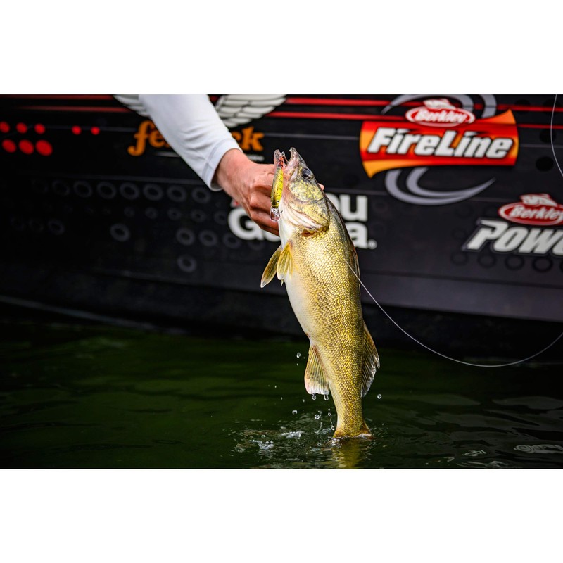 Berkley Flicker Shad Shallow Fishing Lure, Slick Purple Bengal, 2/7
