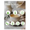 LOOMICA Licorice Mint Tea Bags, Caffeine Free, Refreshing Peppermint &