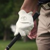 3-Piece Set ■ Soft Long-Lasting Glove ■ MY TOUR GLOVE/SOFT