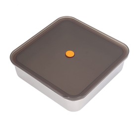 Stainless Steel Food Storage Container, Stainless Steel Box, Foodsafe, Spacesaving, Hygienic, for School (3700ml)