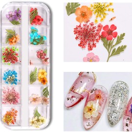 Genérico 1 Caja de Flores secas Mixtas para decoración de uñas, calcomanías Florales Naturales 3D para decoración de uñas, joyería, Esmalte de Gel UV, manicura