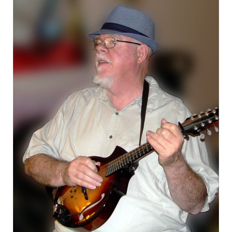 Mandolin Pickup with Flexible Micro-Gooseneck by Myers Pickups