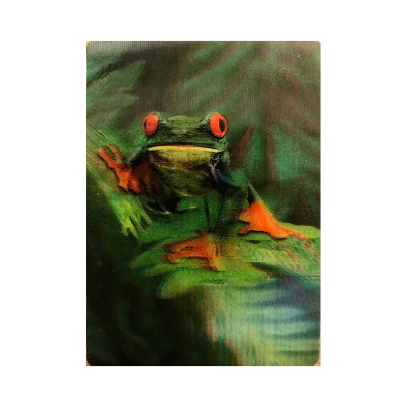 3-D Lenticular Wildlife Trading Card Set - Bear-Frog-Wolf