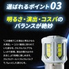 Takenous Takemura Shokai S25 LED Single Curl Valve White 12v