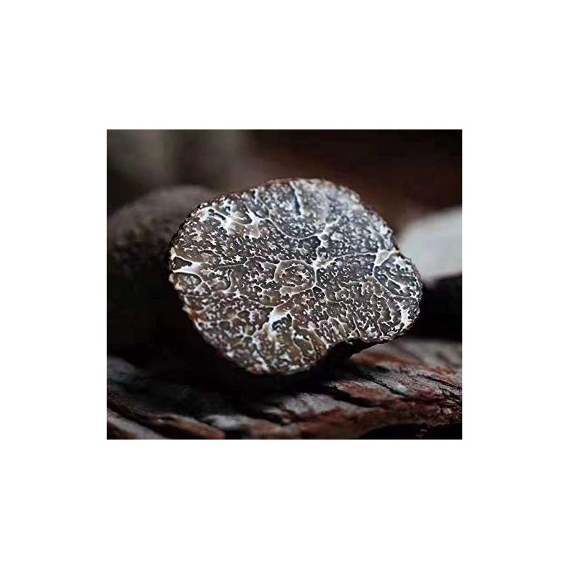 Dried Black Truffles, Premium Grade (1oz) Sliced, Rich Umami Flavor,