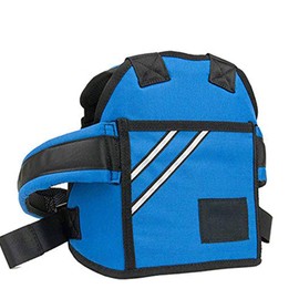 Parent-child Touring Safety Belt, Double Seater Belt, Motorcycle, Tandem Belt, For Kids, Tandem Auxiliary Belt, Safety, Children's Tandem Belt, Backpack Type (Blue)