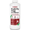 NatureStop Fruit Fly Trap for Indoors Quart