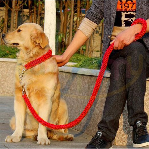 Leash Collar Set Heavy Duty Dog, Adjustable Martingale Braided Dog
