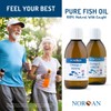 NORSAN Omega-3 Arktis Fish Oil – High-Potency 2,000 mg EPA