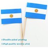 QQSD Argentina Toothpick Flag Argentine Small Mini Cupcake Topper Flags,100