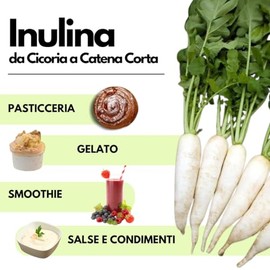 Inulin Powder - Ideal for Ice Cream and Sorbets - 1 kg