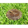 Brass Constellations Sundial - 12" inches Wide