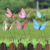 Alipis Butterfly Stakes Colourful Garden Butterflies On Sticks 3D Double