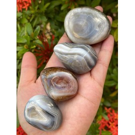 WHOLESALE Botswana Agate Pebble, Large Botswana Agate Tumbled Stone, Natural Polished Botswana Agate Crystals, Botswana Agate Palm Stone, Botswana Agate Healing Crystals (Botswana Agate, 5 Pounds