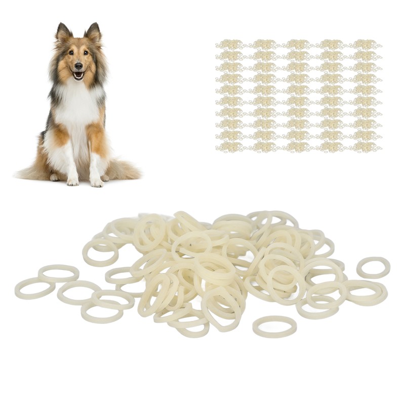 5000pcs 5/16 Inch 5.0oz Orthodontic Elastics Professional Portable Dental Rubber