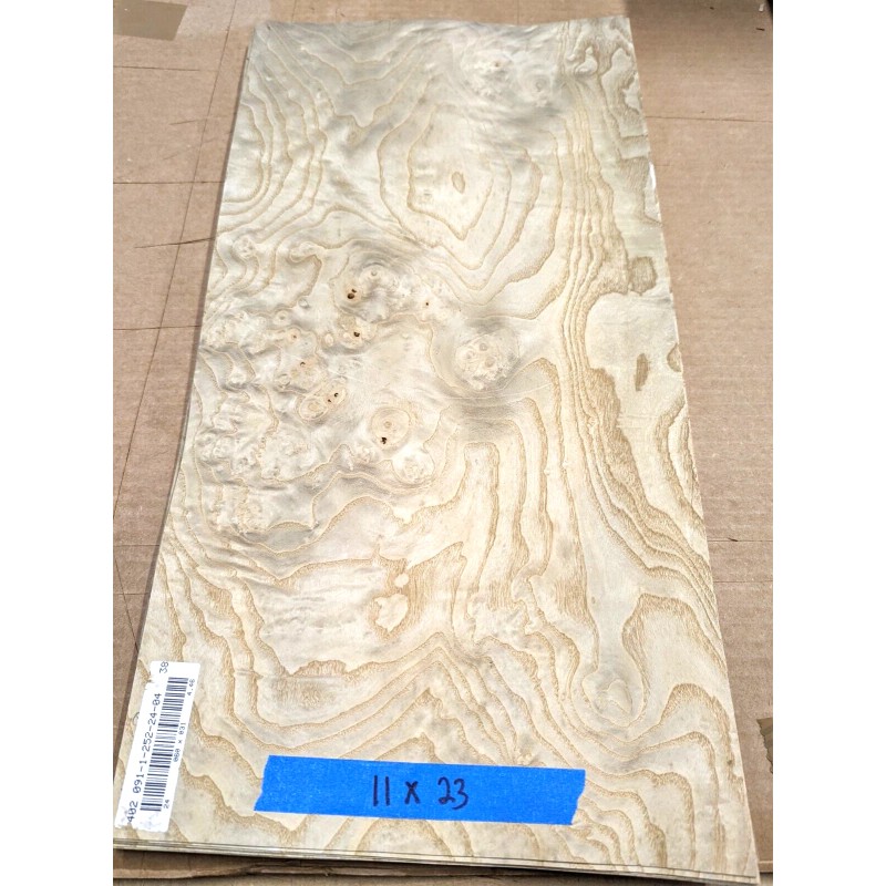 White Ash Burl wood veneer raw with no backing Ash