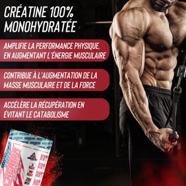 AS American Suplement - Creatina Monohidrat 100% rein - 300g - 200 Mesh Ultra mikronisiert - Para 100 Días - Sabor Neutro - Ayuda a Combatir la Fatiga - Favorece el Rendimiento Físico ..