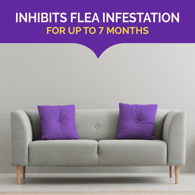 Hot Shot BedBug And Flea Fogger, Inhibits Flea Reinfestation, 2