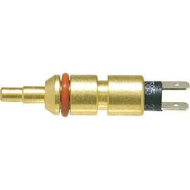Wolf ET PG24 Flow Sensor 5K NTC Brass CGB (W/S)/MGK/COB