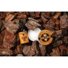 Beard Kit 54