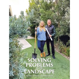 Solving Problems in the Landscape