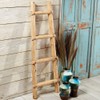 BLACK FOREST DECOR Kiva Ladder - 4 Ft.