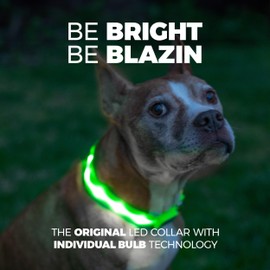 Blazin Light Up Dog Collar - The Original LED Dog Collar - USB Rechargeable - Waterproof - 1,000 Feet of Visibility - Dog Collar Light for Small, Medium, Large Dogs - US Brand