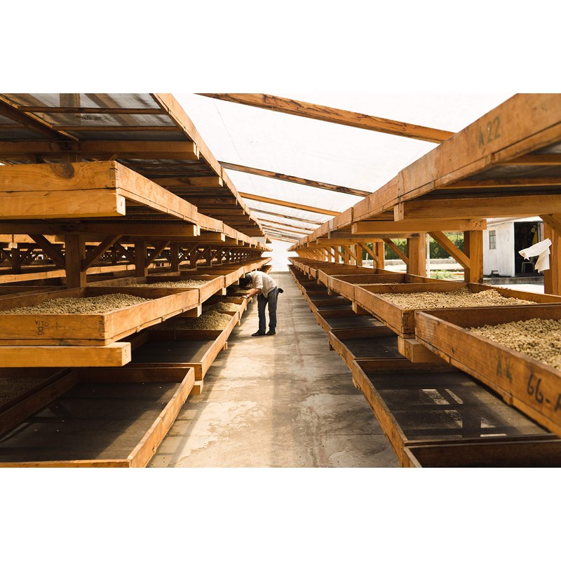 Bean Around The World Coffees Organic Espresso Coffee, 340g, 12