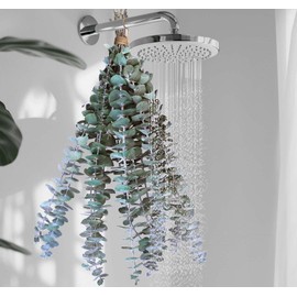 WEALD TRIBE Dried Eucalyptus Stems for Shower 17" Real Leaves Branches for Vase Filler, Home Bathroom Wedding Arrangement Decor, Natural Fresh Greenery Hanging Preserved Plant (10 PCS)