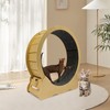 Cat Wheel Cat Exercise Wheel for Indoor Cat,35.43'' L Cat
