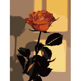 ZRIZQ Paint by Number for Adults,12" Wx16 L Canvas for Painting Kits for Adults in Colorful Box,Paint by Numbers for Home Wall Art Decor-Rose Flower