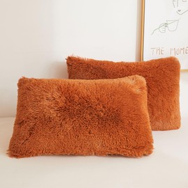 XeGe 2 Pack Fluffy Faux Fur Pillowcases, Soft Plush Shaggy Autumn Standard Size Pillow Cases, Fuzzy Furry Decorative Long Pillow Covers for Bed Couch Sofa with Zipper Closure, 50x75cm, Burnt Orange