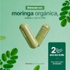 Life Moringa Orgánica 240 Cápsulas 1000mg Por Porción Superalimento Potenciado