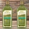 Dalan Hair Strengthening Natural Pure Olive Oil Nourishing Shampoo Volumizing 2pcs 400ml / 달란 모발강화 자연유래 퓨어 올리브오일 너리싱 샴푸 볼류마이징 2개 400ml