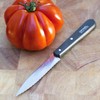 OPINEL Les Essentials - Small Kitchen 4 Piece Knife Set