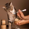 Cat Wet Food Spoon 4 Pcs Dog Cat Spoon Stainless
