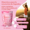 B-FIT Suplemento Diurético, 60 Cápsulas, Cola de Caballo y uva