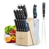 PARIS RHÔNE Kitchen Knife Set, 16-Piece High-Carbon Stainless Steel Knife