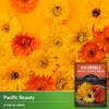 Calendula Pacific Beauty (Mixed) Seed for Planting - 3 Packets