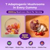 Ashwagandha Gummies and Lions Mane Mushroom Gummies Supplement - Organic
