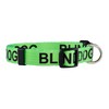 Native Pup Blind Dog Collar| Limited Sight Alert