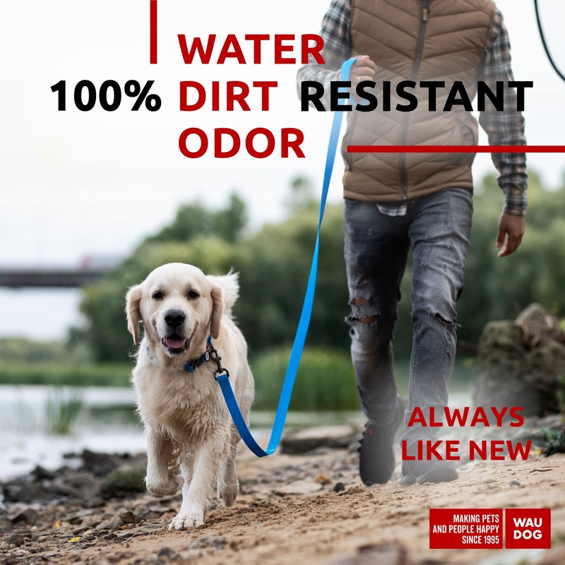 Correa impermeable para perro (azul, 6 pies x 1 pulgadas)