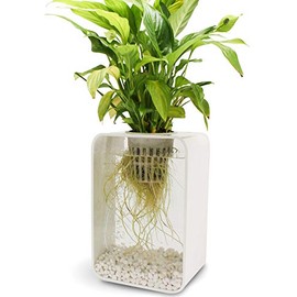 c-Hydro 2 Gallon Hydroponic or Aquaponic, 4" Net Pot for Larger Plants. Modern Design, Premium, Plants Thrive with Hydroponics!