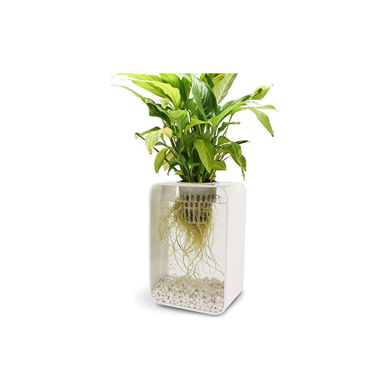 c-Hydro 2 Gallon Hydroponic or Aquaponic, 4" Net Pot for