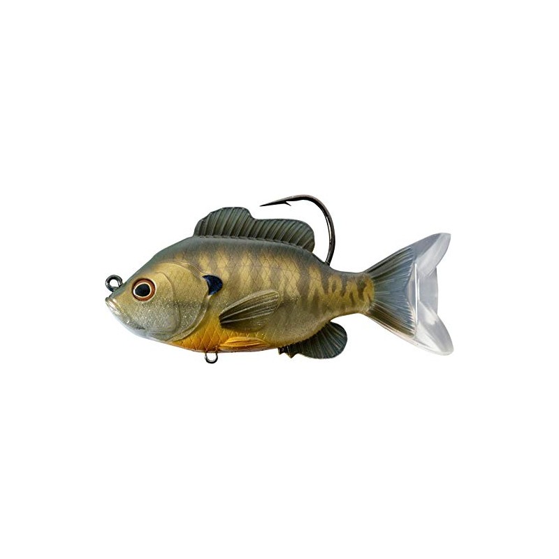 LIVE TARGET LiveTarget SFS110MS562 Sunfish -, Multicolor
