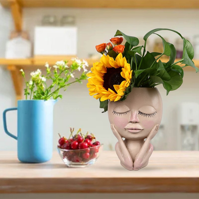 Unique Head Plant Pot with Drainage Hole Resin DIY Face